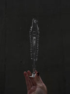 commonstate Flute Glass